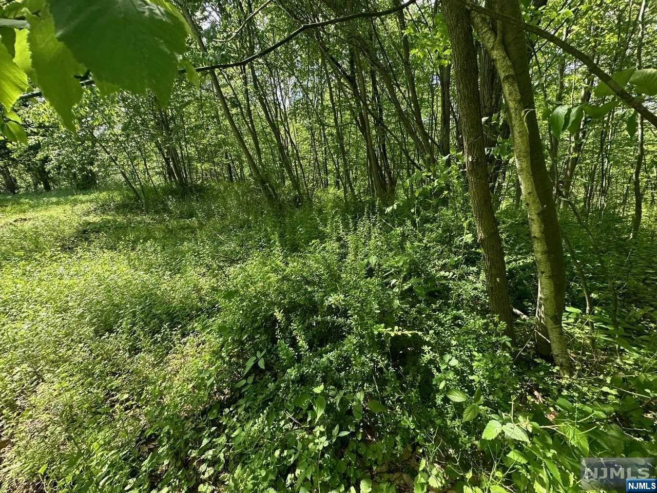 Homes for sale in West Milford, NJ | 0 Gladstone Rd, West Milford, NJ 07421 | MLS# 24016287