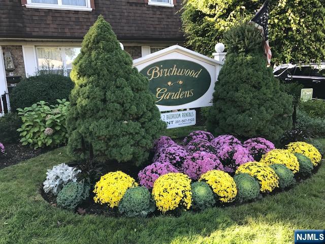 DUMONT Properties