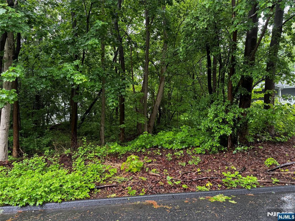 Homes for sale in West Milford, NJ | 0 Walnut St, West Milford, NJ 07438 | MLS# 25015746