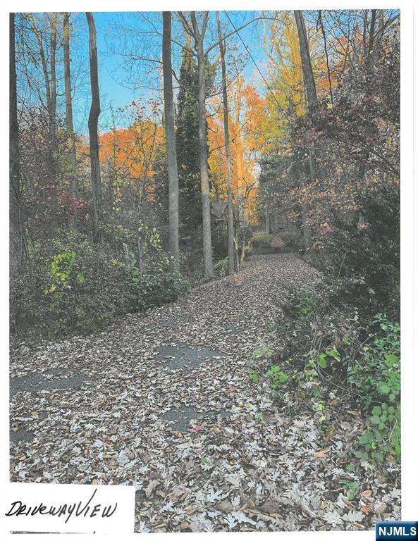 Homes for sale in Alpine, NJ | 44 Robin, Alpine, NJ 07620 | MLS# 25024759