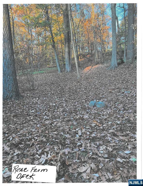 Homes for sale in Alpine, NJ | 44 Robin, Alpine, NJ 07620 | MLS# 25024759