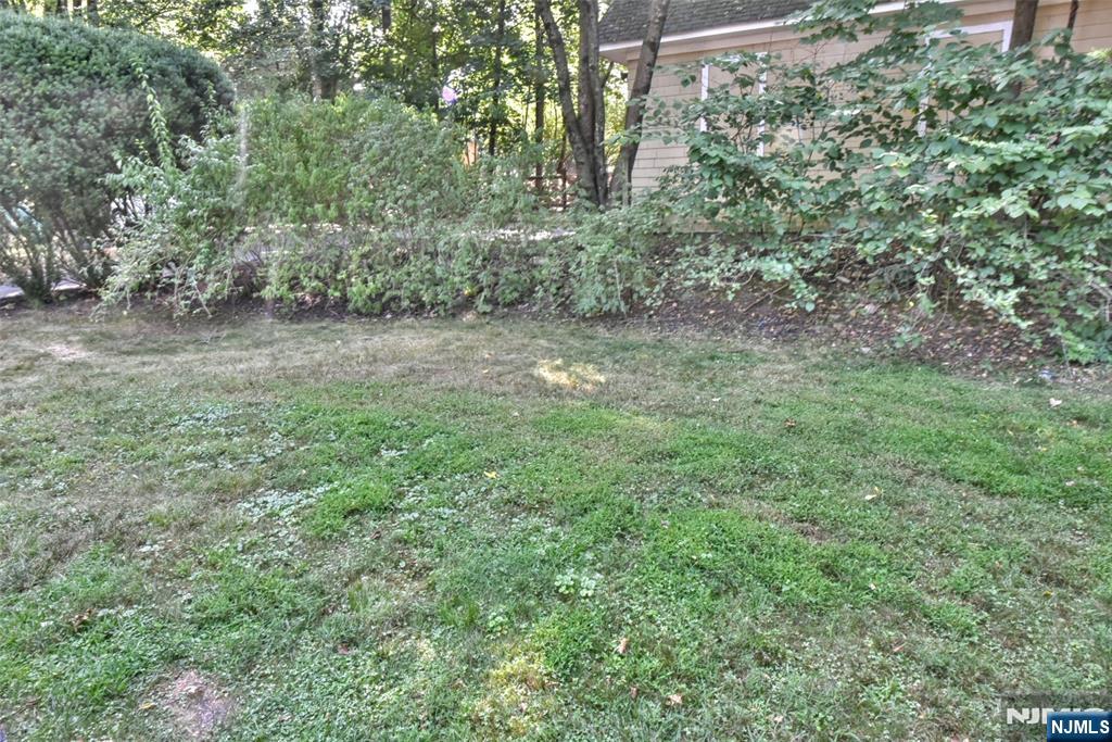 DEEP YARD