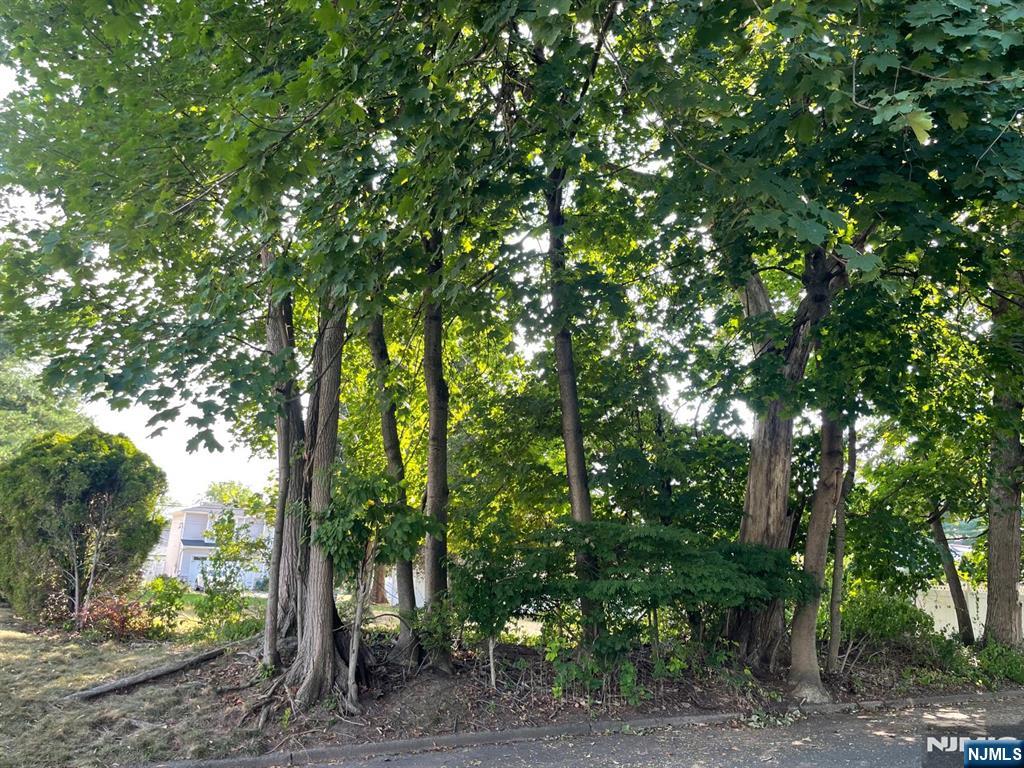 Homes for sale in Twp Of Washington, NJ | 662 Jefferson Ave, Twp Of Washington, NJ 07676 | MLS# 25029946