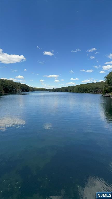 Homes for sale in Ringwood, NJ | 78 Woodland Rd, Ringwood, NJ 07456 | MLS# 25030496