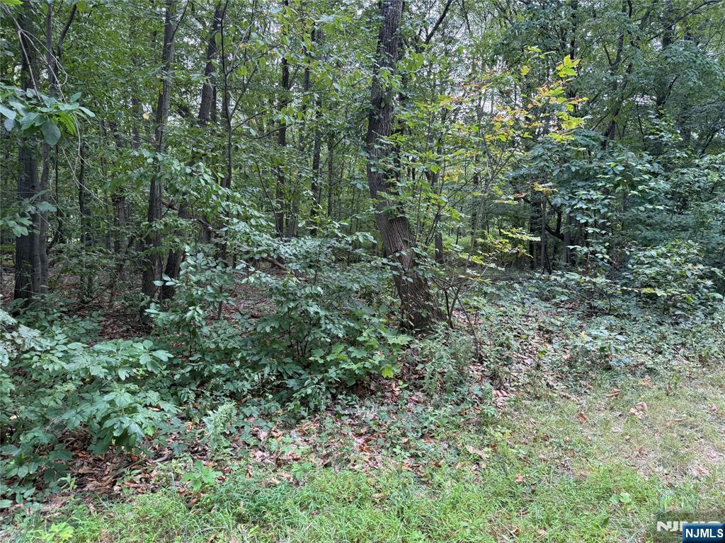 Homes for sale in Kinnelon Borough, NJ | 15 Saw Mill Rd, Kinnelon Borough, NJ 07405 | MLS# 25030572