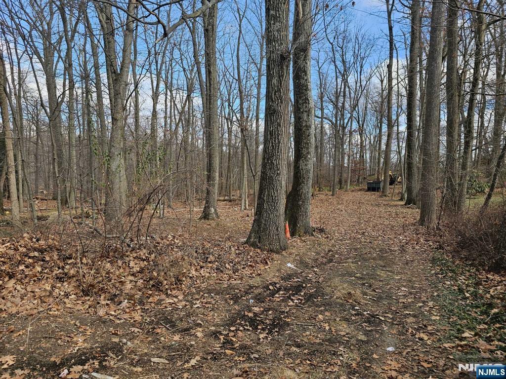 Homes for sale in Morris Township, NJ | 34 Starlight Dr, Morris Township, NJ 07960 | MLS# 25030823