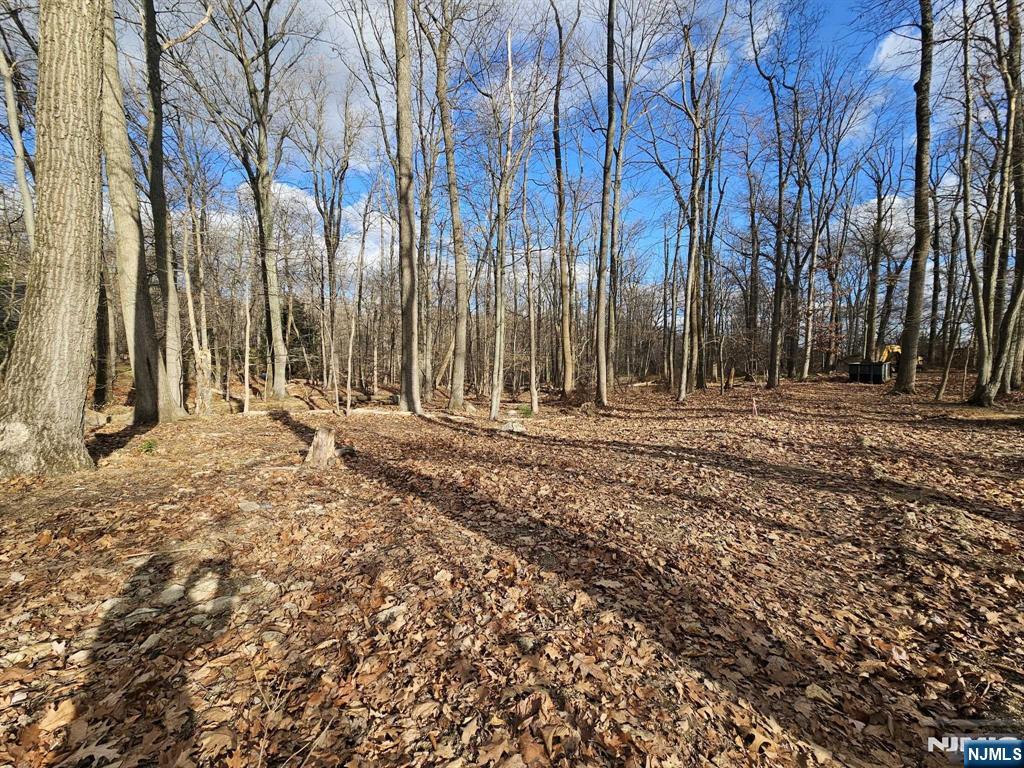 Homes for sale in Morris Township, NJ | 34 Starlight Dr, Morris Township, NJ 07960 | MLS# 25030823