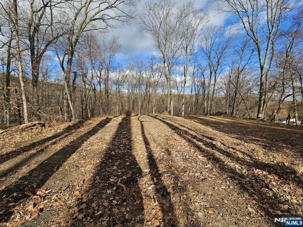 Homes for sale in Morris Township, NJ | 34 Starlight Dr, Morris Township, NJ 07960 | MLS# 25030823