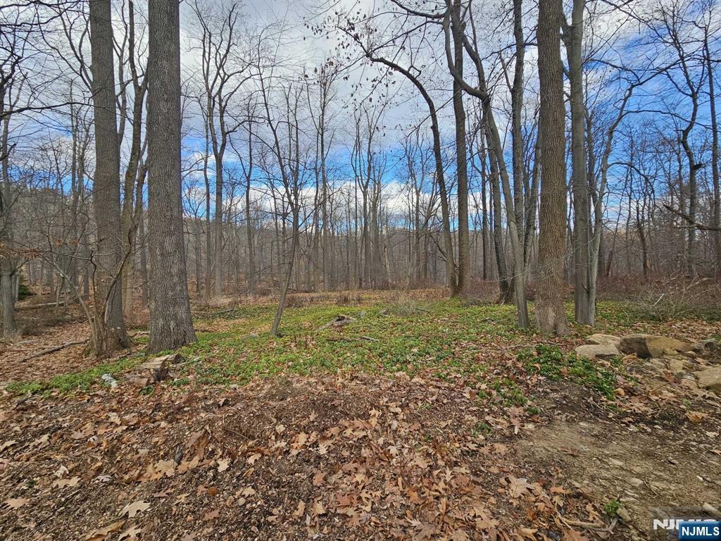 Homes for sale in Morris Township, NJ | 34 Starlight Dr, Morris Township, NJ 07960 | MLS# 25030823