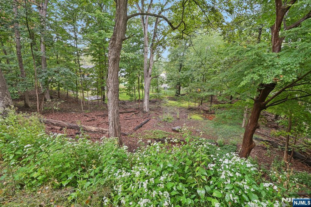 Homes for sale in Livingston, NJ | 280 Cedar St, Livingston, NJ 07039 | MLS# 25032974