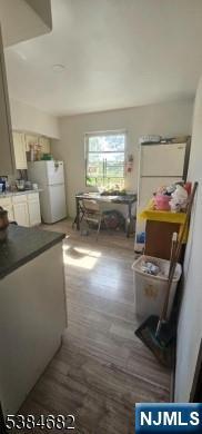 236 Lincoln Place, Irvington, NJ 07111 Listing Photo  3