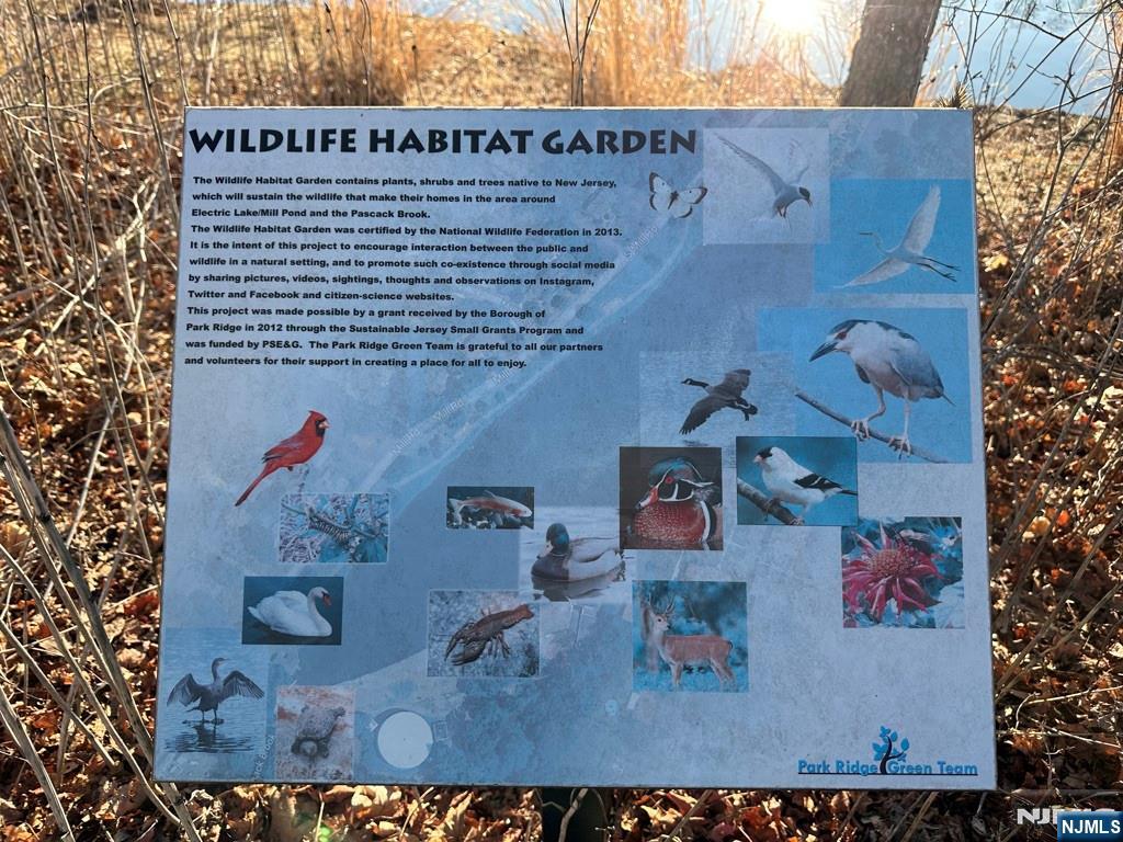 Homes for sale in Park Ridge, NJ | 57 Mill Rd, Park Ridge, NJ 07656 | MLS# 25036149