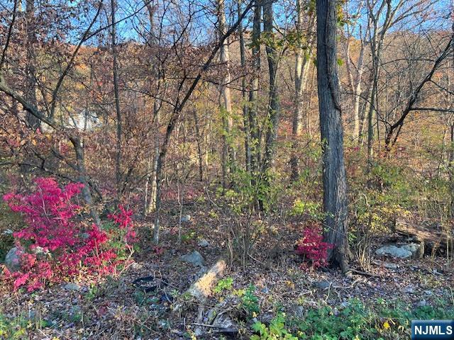 Homes for sale in Jefferson Township, NJ | 9 Old Woodland Trl, Jefferson Township, NJ 07438 | MLS# 25036721