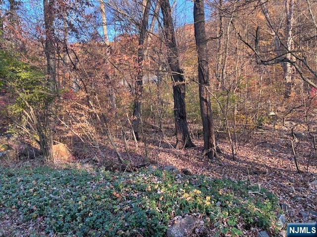 Homes for sale in Jefferson Township, NJ | 9 Old Woodland Trl, Jefferson Township, NJ 07438 | MLS# 25036721