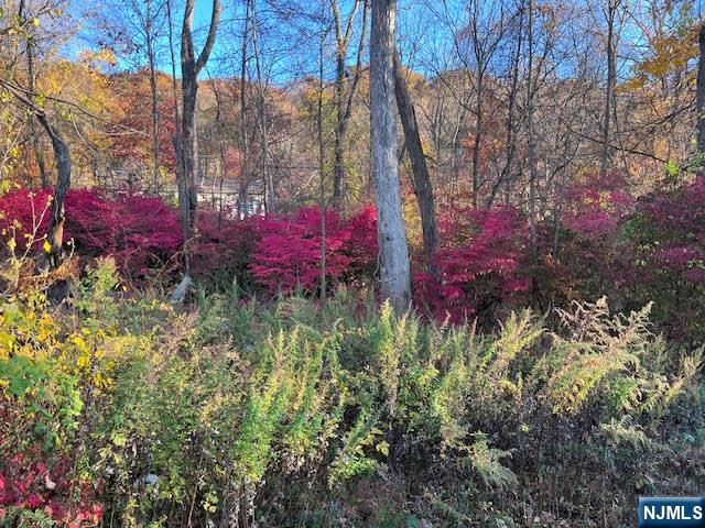 Homes for sale in Jefferson Township, NJ | 9 Old Woodland Trl, Jefferson Township, NJ 07438 | MLS# 25036721