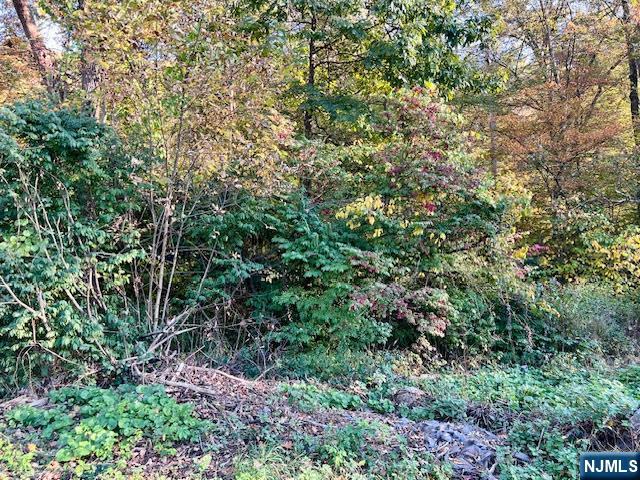 Homes for sale in Jefferson Township, NJ | 9 Old Woodland Trl, Jefferson Township, NJ 07438 | MLS# 25036721