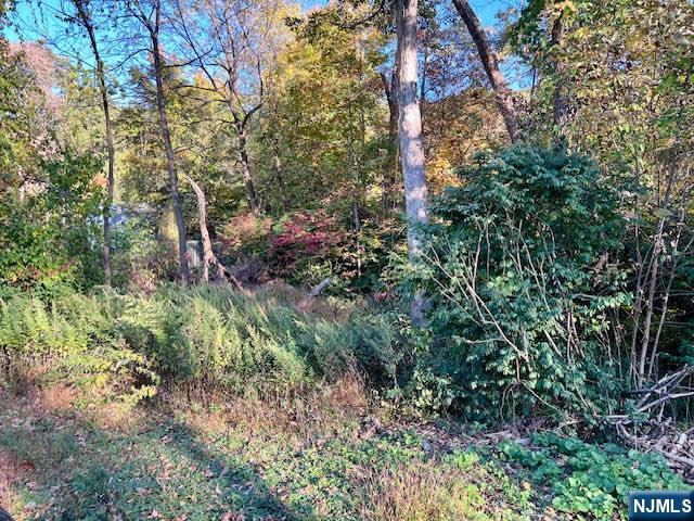 Homes for sale in Jefferson Township, NJ | 9 Old Woodland Trl, Jefferson Township, NJ 07438 | MLS# 25036721