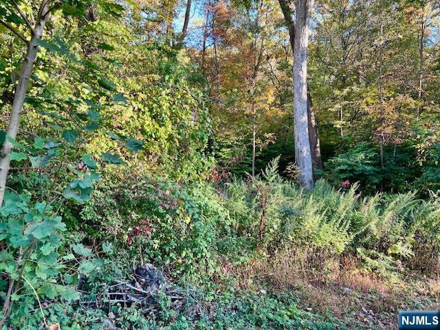 Homes for sale in Jefferson Township, NJ | 9 Old Woodland Trl, Jefferson Township, NJ 07438 | MLS# 25036721