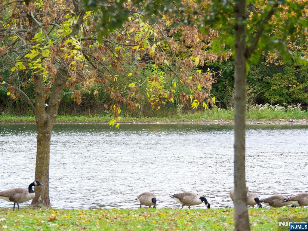 Homes for sale in Englewood, NJ | 56 Fox Run Dr #56, Englewood, NJ 07631 | MLS# 25037271