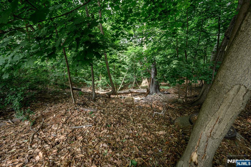 Homes for sale in Bloomfield, NJ | 39 Forest Dr, Bloomfield, NJ 07003 | MLS# 25038848